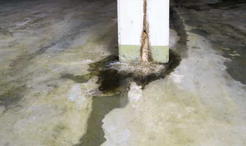 Leaking Foundation Repair in Snohomish, WA